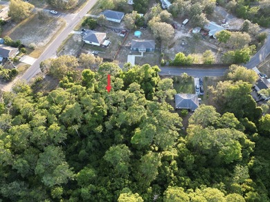 476 acre wooded interior lot zoned R1M . Not in flood Zone so - photo 18