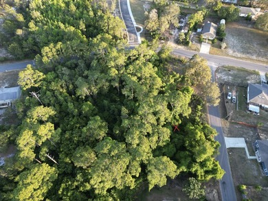 476 acre wooded interior lot zoned R1M . Not in flood Zone so - photo 21