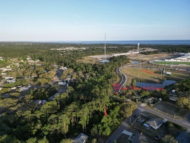 476 acre wooded interior lot zoned R1M . Not in flood Zone so - photo 22