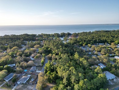 476 acre wooded interior lot zoned R1M . Not in flood Zone so - photo 24