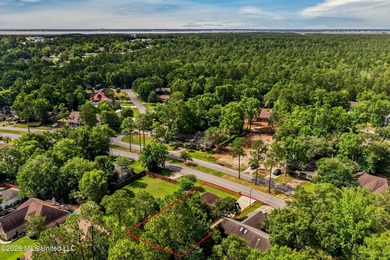 BEAUTIFUL FRENCH COUNTRY HOME WITH OPEN FLOWING FLOORPLAN AND - photo 39