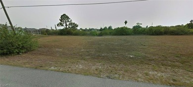 Great waterfront lots ready for your dream home. Situated in a - photo 3