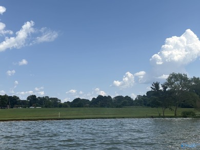 Discover some of the best sunsets in Alabama. This 9.41+/- acre - photo 4