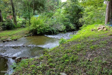 Lake Acreage For Sale in Gatlinburg, Tennessee