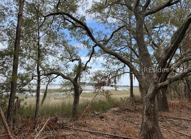 Escape to your own slice of the Lowcountry with this 1 acre - photo 5