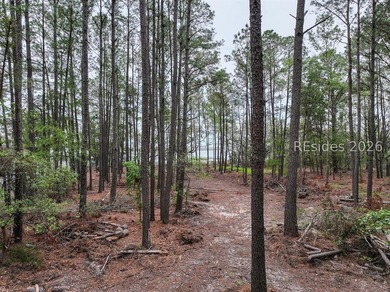 Escape to your own slice of the Lowcountry with this 1 acre - photo 9