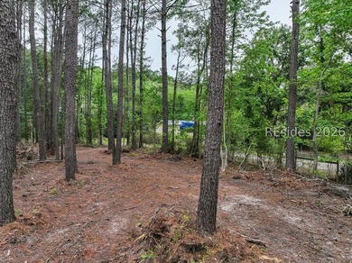 Escape to your own slice of the Lowcountry with this 1 acre - photo 10