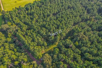 Lake Palestine Acreage For Sale in Frankston Texas