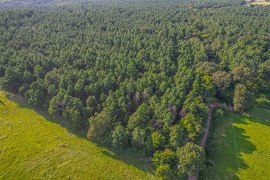 This is a great, country retreat property in a nice area. If - photo 2