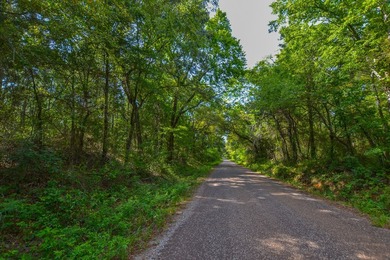 This is a great, country retreat property in a nice area. If - photo 4