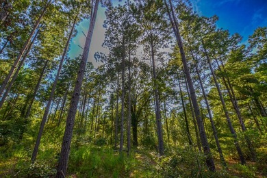 This is a great, country retreat property in a nice area. If - photo 5
