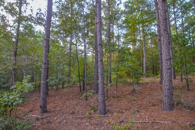 This is a great, country retreat property in a nice area. If - photo 6