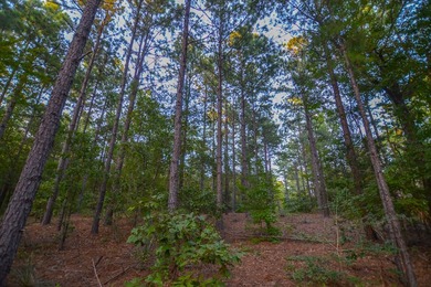 This is a great, country retreat property in a nice area. If - photo 7