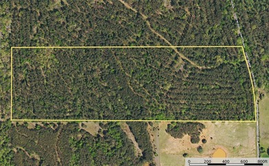 This is a great, country retreat property in a nice area. If - photo 10
