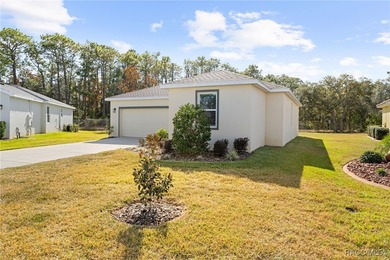 Ready for Immediate Occupancy! This brand-new 3-bedroom - photo 20