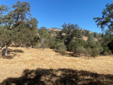 Black Hawk Lake Acreage For Sale in Coarsegold California