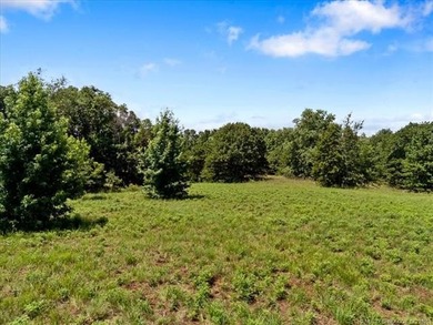Charming all-brick single-family home on 65+/- acres near Lake - photo 32