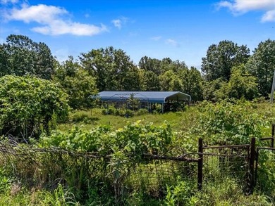 Charming all-brick single-family home on 65+/- acres near Lake - photo 38