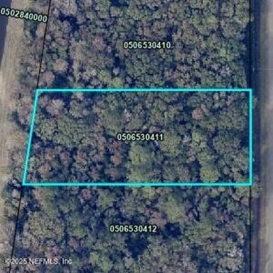 Lake Lot For Sale in Hastings, Florida