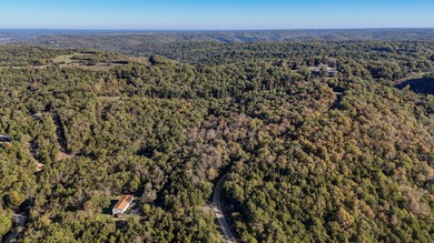 Lake Acreage For Sale in Galena, Missouri