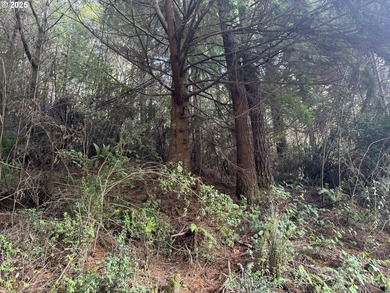 YOUR CHANCE TO OWN 6.7 +/- ACRES of Seclusion & Privacy just - photo 11
