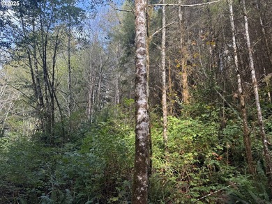 YOUR CHANCE TO OWN 6.7 +/- ACRES of Seclusion & Privacy just - photo 12
