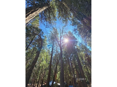 Situated at approximately 5,700 feet in elevation and just - photo 2