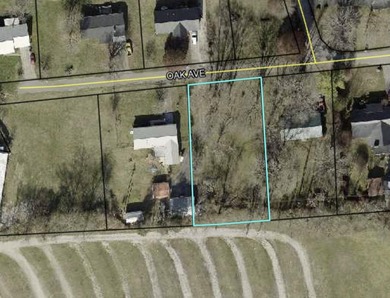 Level Building Lot Close to Lake Cumberland - photo 2
