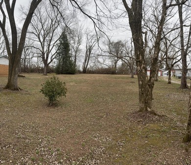 Level Building Lot Close to Lake Cumberland - photo 3