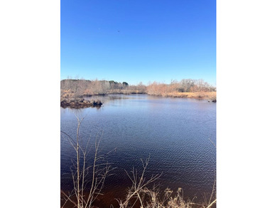 (private lake, pond, creek) Acreage For Sale in Athens Texas