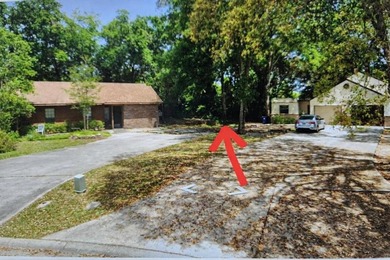 This is a vacant residential lot located in Jacksonville NO HOA - photo 1