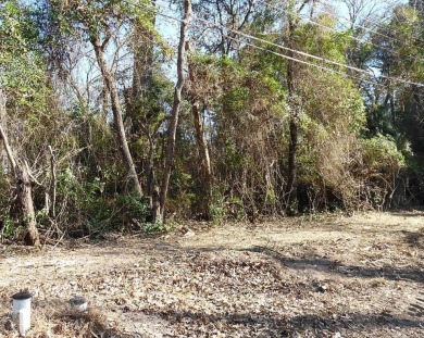 Lake Lot For Sale in Murchison, Texas