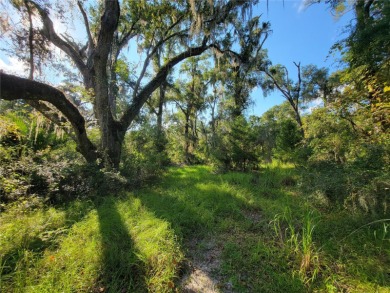 (private lake, pond, creek) Acreage Sale Pending in Old Town Florida