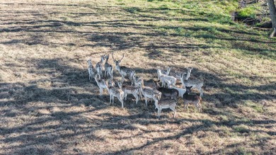 Beautiful 14.78-acre tract ready for your new home and country - photo 17