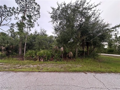 Port Charlotte Waterway Area Lot For Sale in Port Charlotte Florida