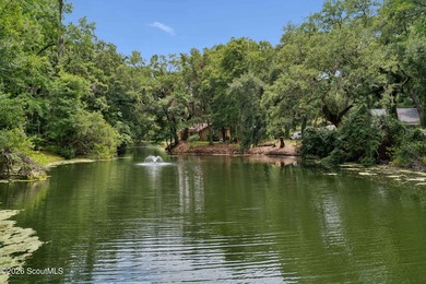 Tucked away on nearly a full acre on St. Simons Island, this - photo 37