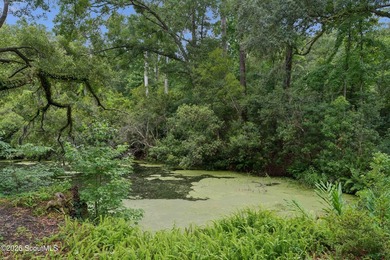 Tucked away on nearly a full acre on St. Simons Island, this - photo 38
