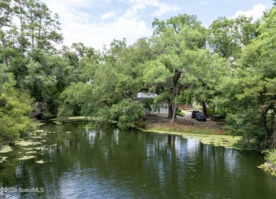 Tucked away on nearly a full acre on St. Simons Island, this - photo 39