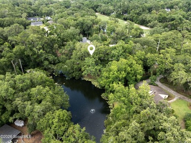Tucked away on nearly a full acre on St. Simons Island, this - photo 40