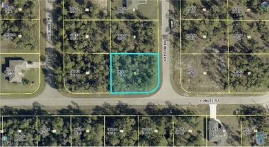 Lehigh Acres Area Lot Sale Pending in Lehigh Acres Florida
