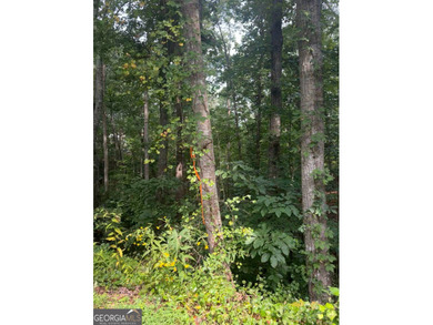 Lake Lanier Lot For Sale in Gainesville Georgia