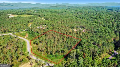 Coosawattee River - Gilmer County Acreage For Sale in Ellijay Georgia