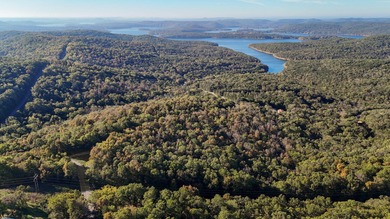 Lake Acreage For Sale in Galena, Missouri