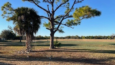 BEAUTIFUL LOT with Amazing View on the CORAL OAKES GOLF COURSE - photo 7