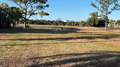 BEAUTIFUL LOT with Amazing View on the CORAL OAKES GOLF COURSE - photo 9