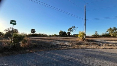 BEAUTIFUL OVERSIZED LOT with Amazing View into Intersection - photo 2