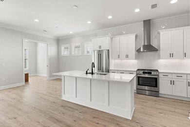 The Alana II is a thoughtfully planned single-level home with 2 - photo 1