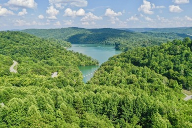 Lake Lot For Sale in New Tazewell, Tennessee