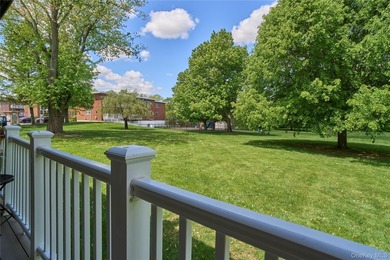 Welcome home to this bright and inviting remodeled 1st floor - photo 11