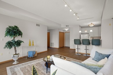 Move right into this beautifully updated top-floor North Loop - photo 5